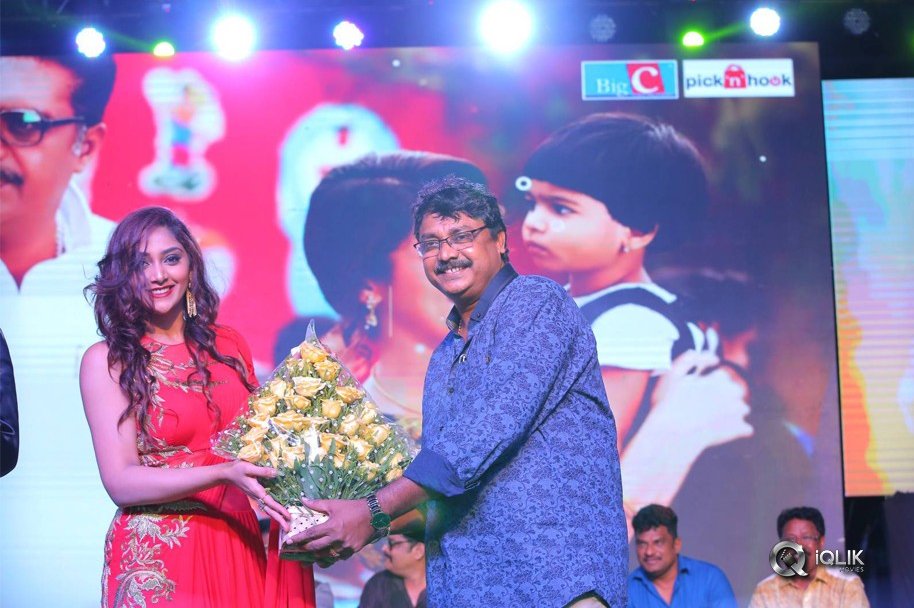 Jai-Simha-100-Days-Celebrations-Photos